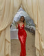 Ravela | Fireglow Sequin Dress